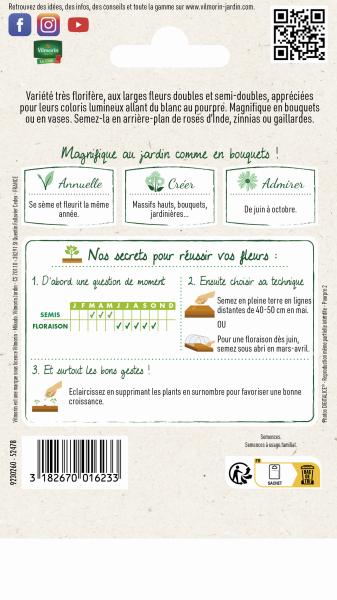 Fleurs - Cosmos Double Click Varié - MEDIA_PACKAGING_VERSO